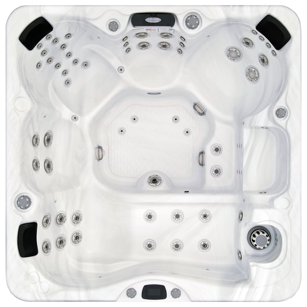 Avalon-X EC-867LX hot tubs for sale in Wyoming